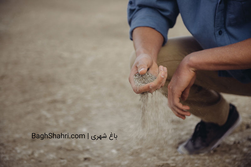 شرایط مقدماتی احداث باغ