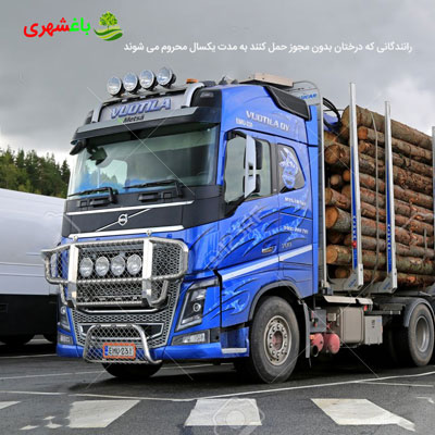 رانندگانی که درختان بدون مجوز حمل کنند به مدت یکسال محروم می شوند