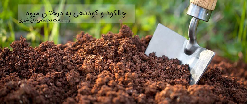 روش های چالکود برای درحتان میوه