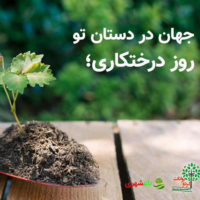 جهان در دست تو؛ روز درختکاری ۱۵ اسفند